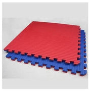 Interlocking Mats 20 MM